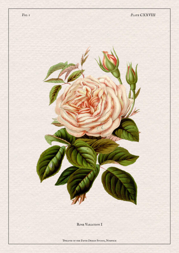 Rose Print - Image 2