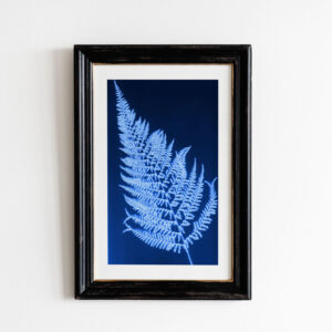 Fern Cyanotype Botanical Print - Version I