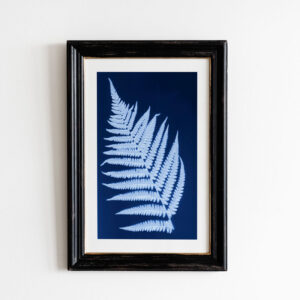 Fern Cyanotype Botanical Print - Version II