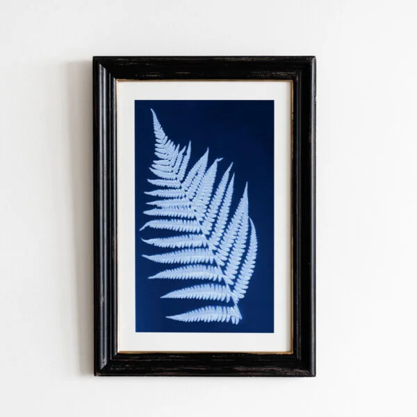 Fern Cyanotype Botanical Print - Version II