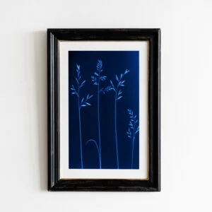 Meadow Grass Cyanotype Botanical Print